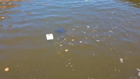 Trash, plastic, garbage, bottle... environmental pollution on the beach - Sea Po Stock Footage 219782520