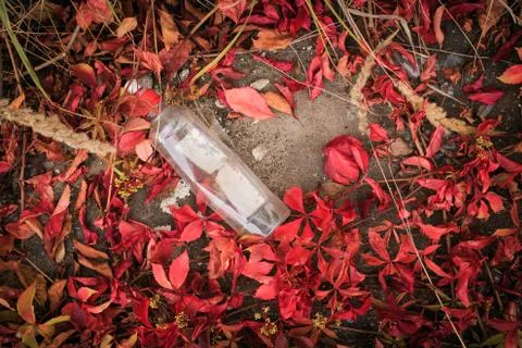Trash, plastic ware on red leaves Stock Photos