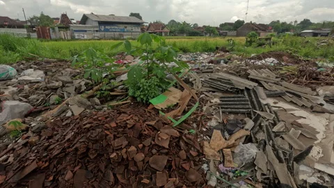 Trash Pollution in Green Rice Fields and Gardens Stock Footage 304654488