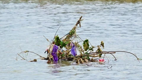 Trash on the river 10bit 4k 60fps Stock Footage 269723293