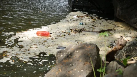 Trash in River Stock Footage 104828880