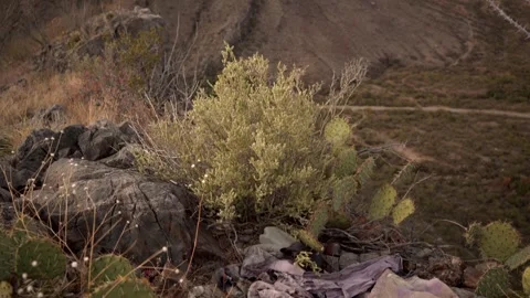 Trash in a scenic area left by illegal immigrants and smugglers Stock Footage 258477954