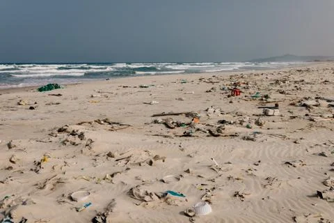 Trash on the sea beach. ecological problem. Environmental pollution. Stock Photos