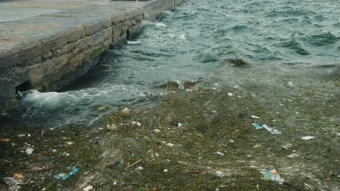 Trash in the sea. Stock Footage 198736938