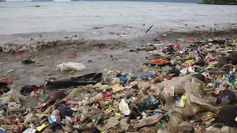 Trash by the sea Stock Footage 220755844