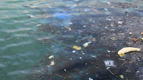 Trash in sea water Stock Footage 45621741