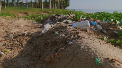 Trash on the shore Stock Footage 128736447
