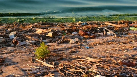 Trash on shore symbolizing environmental pollution Stock Footage 88105608