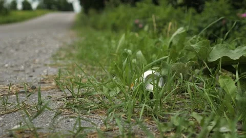 Trash on side of road can pollution country nature dirt metal drink abandonned Stock Footage 156202966