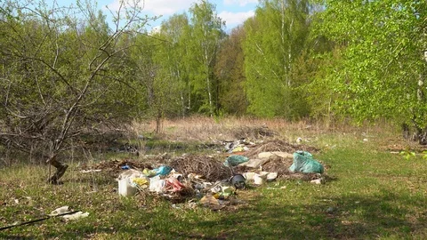Trash in the spring forest Stock Footage 123375784