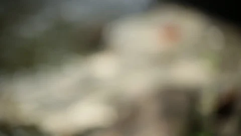 Trash In A Stream Stock Footage 104828873