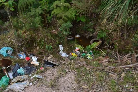 Trash in stream Stock-Fotos