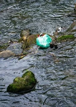 Trash in the stream Stock Photos