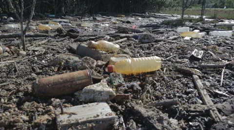 Trash swamp Stock Footage 52593388