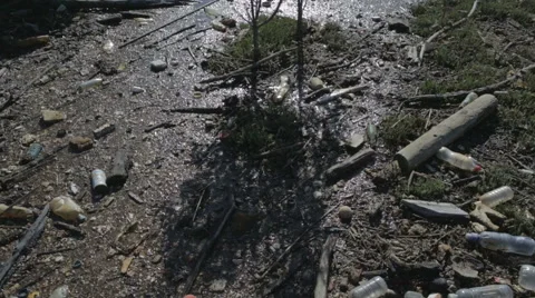 Trash swamp Stock Footage 52593622