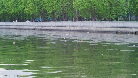 Trash swims in the river. Environmental pollution. Stock Footage 136484360