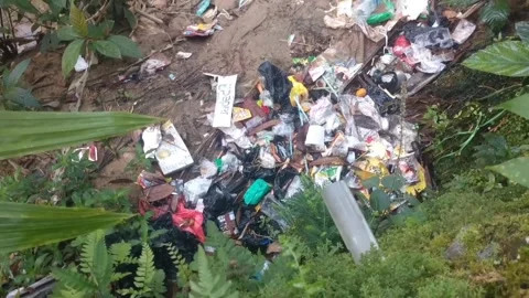 Trash is a threat to river ecosystems. Stock Footage 243074549