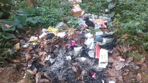 Trash is a threat to river ecosystems. Stock Footage 243074555