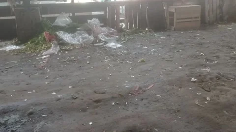 Trash in traditional market 库存影片 227082653