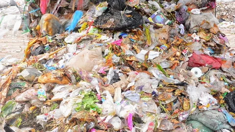 Trash trucks Stockbeeldmateriaal 147165869