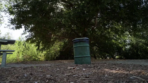 Trashcan in wilderness low tracking shot Stock Footage 289698081