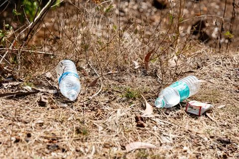 Trashed Nature Stock Photos