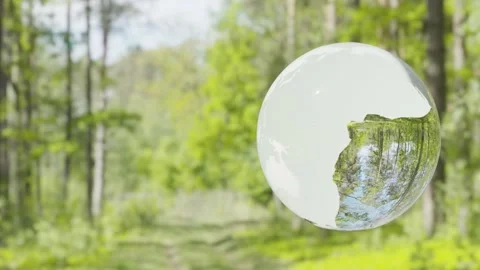 Trasparent Earth, forest in background. Stock Footage 237114500