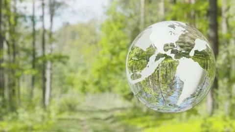 Trasparent Earth, forest in background. Stock Footage 237114712