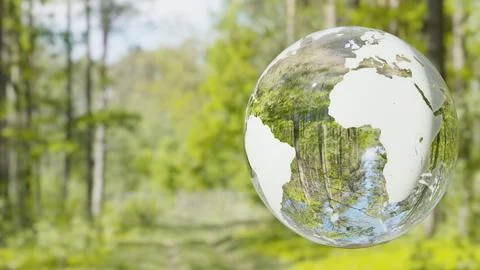 Trasparent Earth, forest in background. Stock Photos