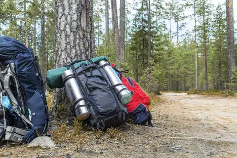 Travel backpack. Stock Photos