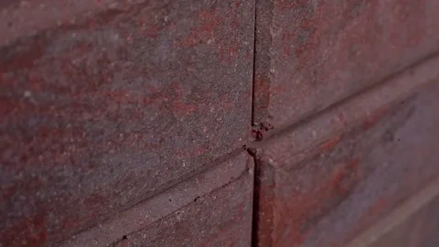 Travel camera on a brick wall Stock Footage 75511814