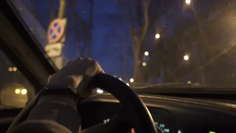 Travel by car at night in spring. Stock Footage 150107936