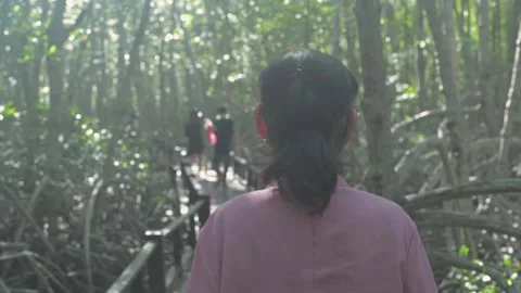 Travel concept of 4k Resolution. An old woman walking happily in the mangrove Stock Footage 155240348