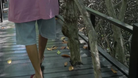 Travel concept of 4k Resolution. An old woman walking happily in the mangrove Stock Footage 160984420