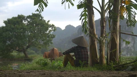 Travel documentary Stock Footage 122032650