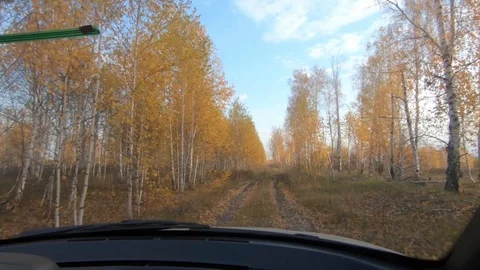 Travel in the fall. Stock Footage 97750587