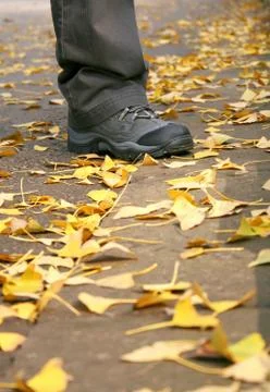 Travel in the fall Stock Photos