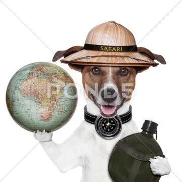 Travel globe compass dog safari Stock Illustration