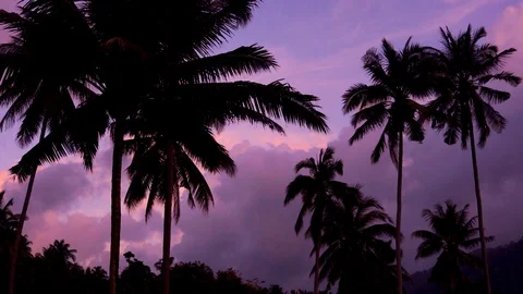 Travel, holidays concept Stock Footage 122032645