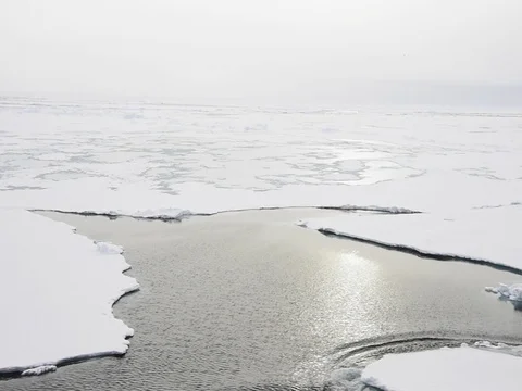Travel In the ice , Arctic Stock Footage 81304446