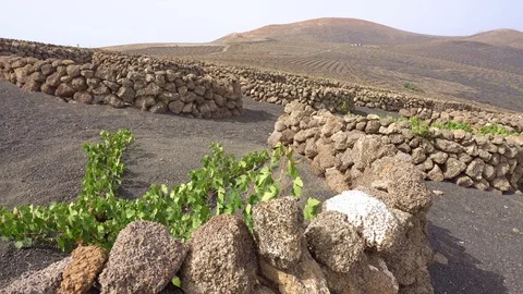 Travel in Lanzarote Stock Footage 95791192