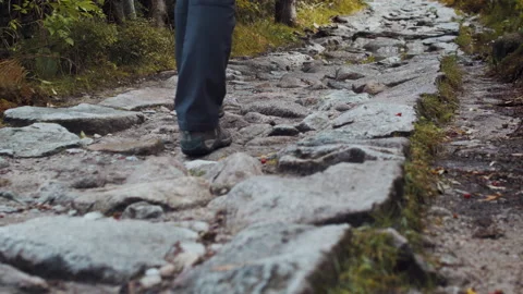 Travel on mountain trails. Video stock 238829655