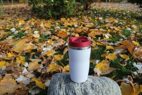 Travel  mug  outdor in yellow  leafs Stock Photos