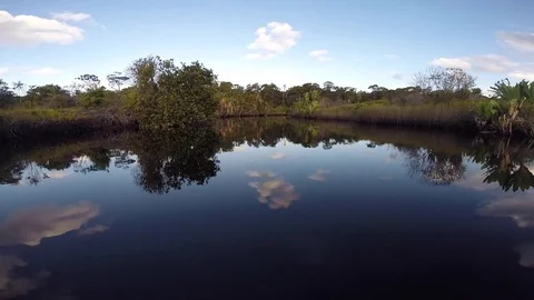 Travel on the river Stock Footage 77136410