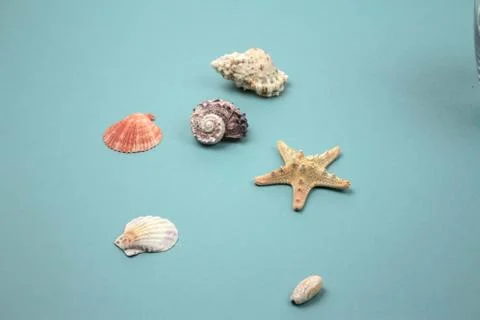 Travel Shells Background Stock Photos