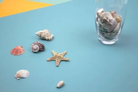Travel Shells Background Stock Photos