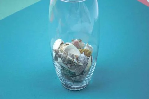 Travel Shells Background Stock Photos