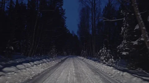 Travel through the forest winter night road Stock Footage