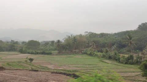 Travel by train Stock Footage 255692856