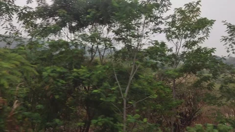 Travel by train sequel 5 Stock Footage 255692764